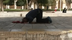 Musulmán orando en la Explanada del Templo